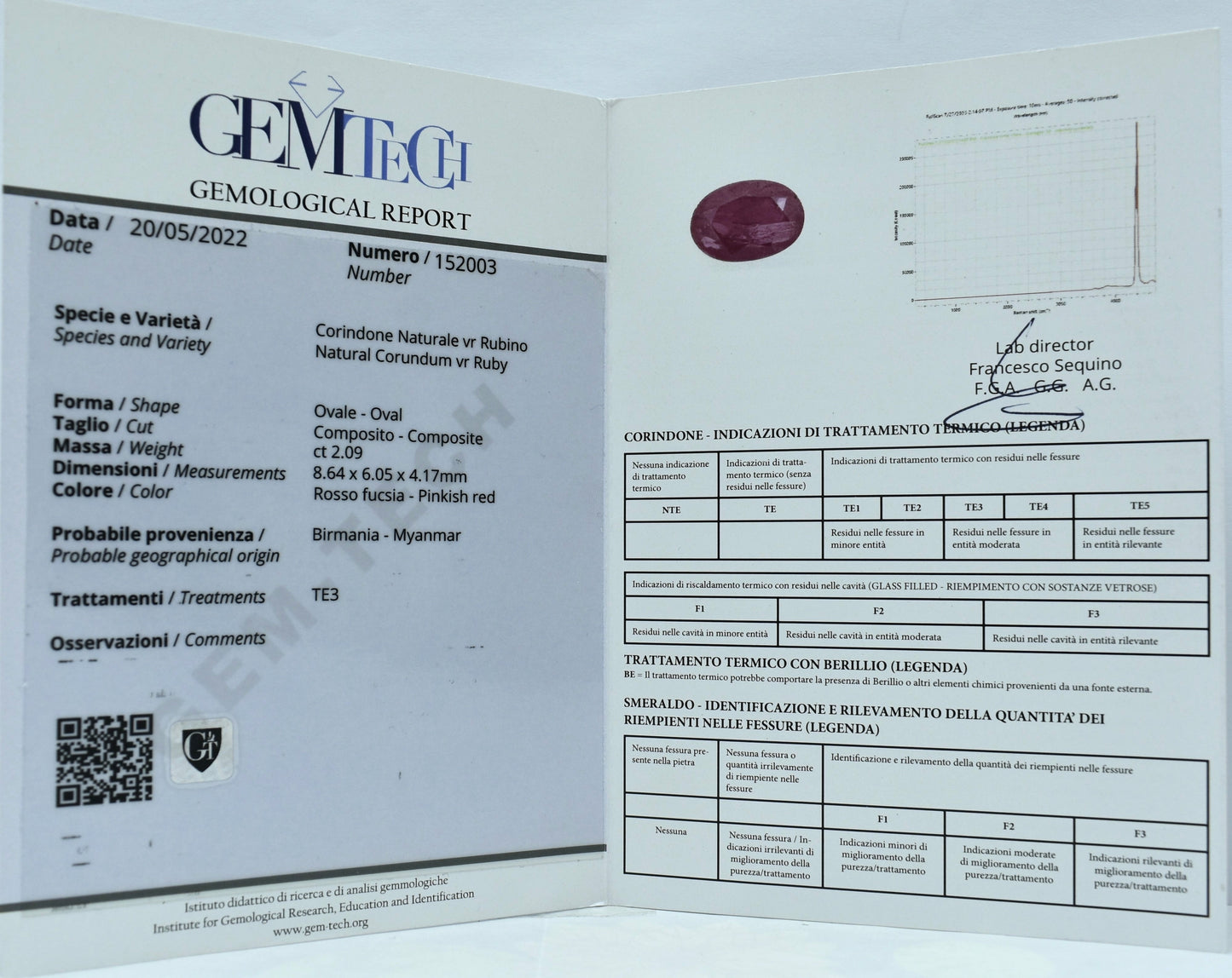 Orecchini con diamanti e rubino